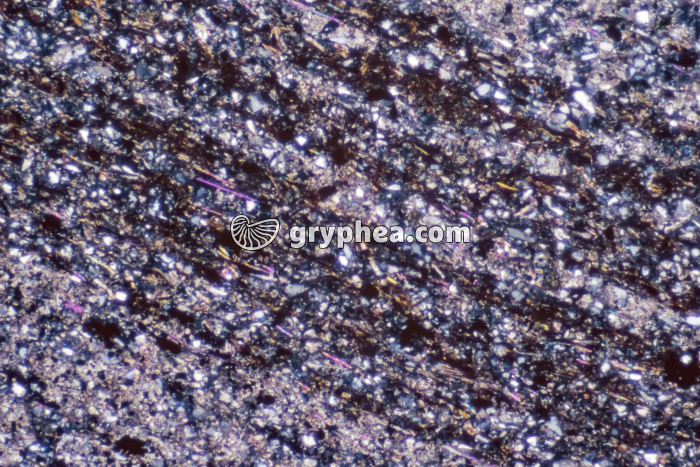 Pélite x12,5 LPA - gryphea.com